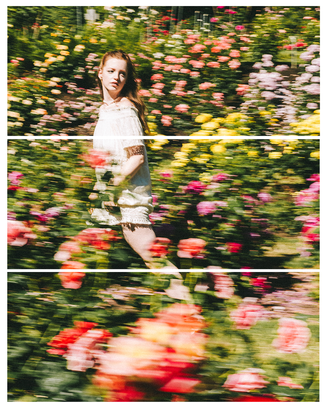 Creative Editorial Portraits at a Rose Garden in Portland — photograph 1 of 20